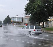Liūtis Radvili&scaron;kyje