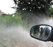 Liūtis Radvili&scaron;kyje
