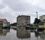 Liūtis Radvili&scaron;kyje