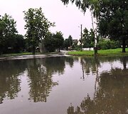 Liūtis Radvili&scaron;kyje