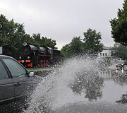 Liūtis Radvili&scaron;kyje