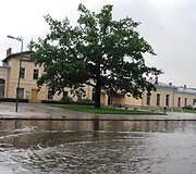 Liūtis Radvili&scaron;kyje