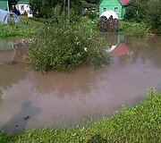 Raseiniuose po liūties, Algirdo gatvė