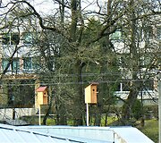 Bundanti gamta praskaidrina nuotaiką. 