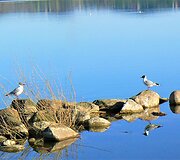 Bundanti gamta praskaidrina nuotaiką. 