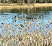Bundanti gamta praskaidrina nuotaiką. 