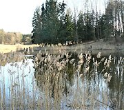 Bundanti gamta praskaidrina nuotaiką. 