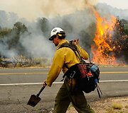 Nuo gegužės 29-osios gaisras sunaikino daugiau kaip 1,6 tūkstančio kvadratinių kilometrų mi&scaron;kų. &Scaron;iuo metu ugniagesių komandos degina mi&scaron;ko ruožus ugnies kelyje, kad sustabdytų gaisrą.