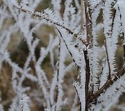 &Scaron;alčio ra&scaron;tai gruodžio mėnesį