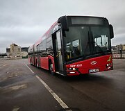 Autobuso vairuotojas Pranas
