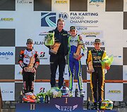 Kajus &Scaron;ik&scaron;nelis