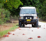 Krabus saugantis &bdquo;Toyota Land Cruiser&ldquo;