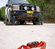 Krabus saugantis &bdquo;Toyota Land Cruiser&ldquo;
