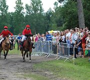 Festivalyje &bdquo;Žagarės vy&scaron;nios 2012&ldquo; vyko Pasaulio taurės konkūrų etapas