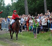 Festivalyje &bdquo;Žagarės vy&scaron;nios 2012&ldquo; vyko Pasaulio taurės konkūrų etapas