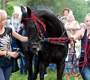 Festivalyje &bdquo;Žagarės vy&scaron;nios 2012&ldquo; vyko Pasaulio taurės konkūrų etapas