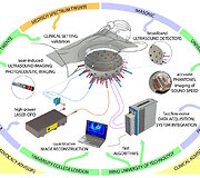 PAMMOTH prietaiso schema (PAMMOTH project).