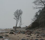 Olandų kepurė Karklės apylinkėse