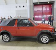 Daugelis Biagini Passo buvo prarasti dėl rūdžių. (Volkswagen nuotrauka)