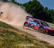 WRC Rally Estonia akimirkos