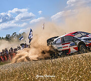 WRC Rally Estonia akimirkos