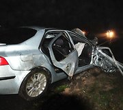 Briedis prie Vilniaus sukėlė masinę avariją