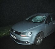Briedis prie Vilniaus sukėlė masinę avariją
