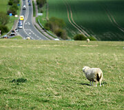 Apsilankymas Stounhendže