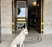 K. Mieliauskas motociklu nuvažiavo 2200 kilometrų per Turkiją ir pasiekė Irako sieną