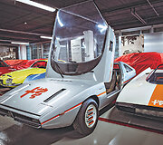 Koncepcinis Caimano modelis sukurtas Alfasud platformos pagrindu, garsusis GIORGETTO GIUGIARO automobilio durelėse įrengė angas, kad būtų galima be jokio vargo sumokėti kelių mokestį. Kai durelės atsidaro, kartu su jomis pasikelia ir priekinis stiklas