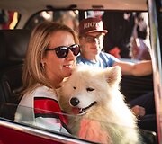 Automobilių kultūros festivalis &bdquo;Chill&rsquo;n&rsquo;Grill&ldquo;