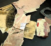 Las Vegase į kanalizacijos &scaron;ulinį apgadintas Carloso Sainzo bolidas