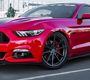 Ratlankiai TSW Bathurst