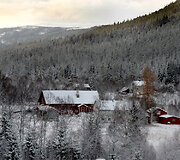 Laimingas &scaron;unų gyvenimas Norvegijoje