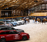 &bdquo;Metų automobilis 2025 m.&ldquo; konkurso dalyviai arklio jėgas skaičiavo &bdquo;Royal horse resort&ldquo;