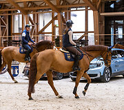 &bdquo;Metų automobilis 2025 m.&ldquo; konkurso dalyviai arklio jėgas skaičiavo &bdquo;Royal horse resort&ldquo;