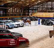 &bdquo;Metų automobilis 2025 m.&ldquo; konkurso dalyviai arklio jėgas skaičiavo &bdquo;Royal horse resort&ldquo;
