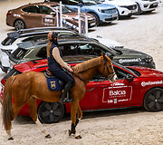 &bdquo;Metų automobilis 2025 m.&ldquo; konkurso dalyviai arklio jėgas skaičiavo &bdquo;Royal horse resort&ldquo;