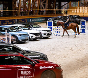 &bdquo;Metų automobilis 2025 m.&ldquo; konkurso dalyviai arklio jėgas skaičiavo &bdquo;Royal horse resort&ldquo;
