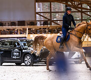 &bdquo;Metų automobilis 2025 m.&ldquo; konkurso dalyviai arklio jėgas skaičiavo &bdquo;Royal horse resort&ldquo;