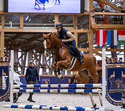 &bdquo;Metų automobilis 2025 m.&ldquo; konkurso dalyviai arklio jėgas skaičiavo &bdquo;Royal horse resort&ldquo;