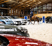 &bdquo;Metų automobilis 2025 m.&ldquo; konkurso dalyviai arklio jėgas skaičiavo &bdquo;Royal horse resort&ldquo;
