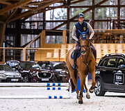 &bdquo;Metų automobilis 2025 m.&ldquo; konkurso dalyviai arklio jėgas skaičiavo &bdquo;Royal horse resort&ldquo;