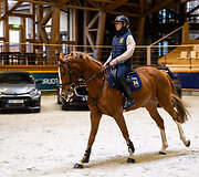 &bdquo;Metų automobilis 2025 m.&ldquo; konkurso dalyviai arklio jėgas skaičiavo &bdquo;Royal horse resort&ldquo;