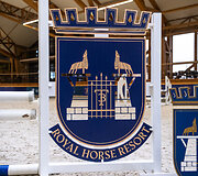 &bdquo;Metų automobilis 2025 m.&ldquo; konkurso dalyviai arklio jėgas skaičiavo &bdquo;Royal horse resort&ldquo;