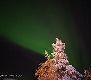 &Scaron;iaurės pa&scaron;vaistė ir naktinis fotografavimas &bdquo;Xiaomi 14T Pro&ldquo; Laplandijoje