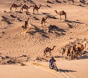 &bdquo;AG Dakar School&ldquo; atstovai Saulius Klevinskas ir Edvard Sokolovski (Dubai Baja)