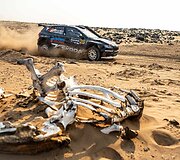 WRC ralis Saudo Arabijoje