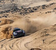WRC ralis Saudo Arabijoje