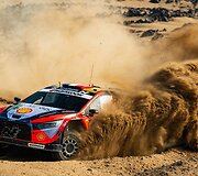 WRC ralis Saudo Arabijoje